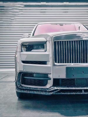 2018 - 2019 كيلينان كيت الجسم DW النمط الأمامي شفتي Diffuser Spoiler كيت واسع الجسم